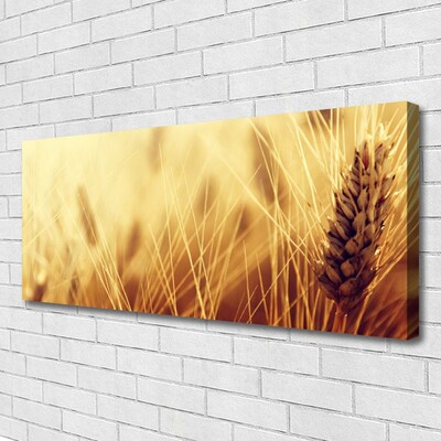 Quadro canvas Natureza da planta de trigo