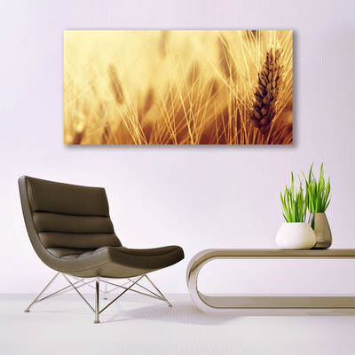 Quadro canvas Natureza da planta de trigo