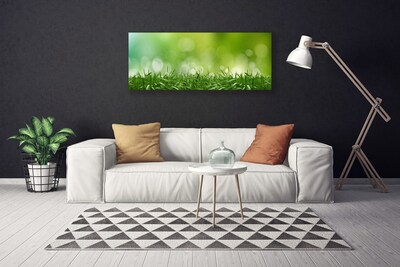 Quadro em tela Natureza da planta grama