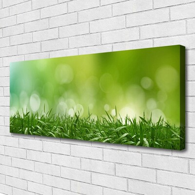 Quadro em tela Natureza da planta grama