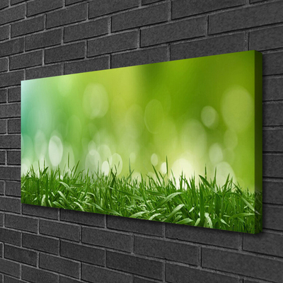 Quadro em tela Natureza da planta grama