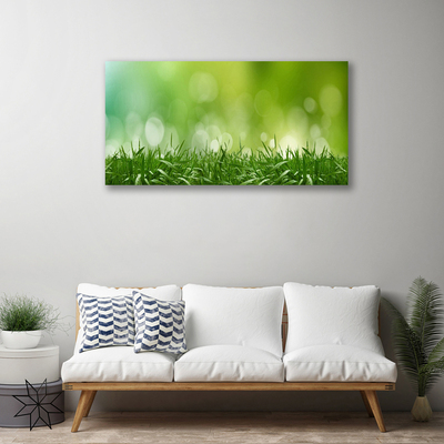 Quadro em tela Natureza da planta grama