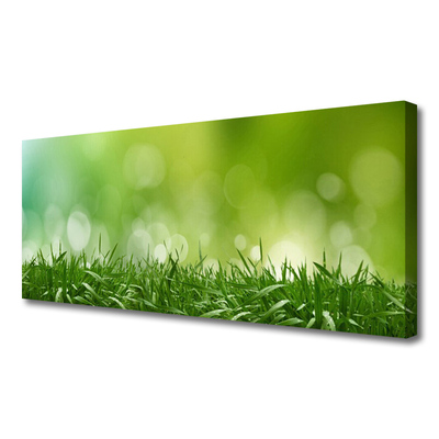 Quadro em tela Natureza da planta grama