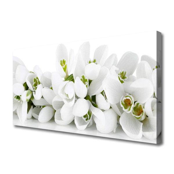 Quadro canvas Flores Planta Natureza