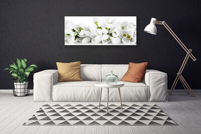 Quadro canvas Flores Planta Natureza