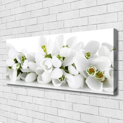 Quadro canvas Flores Planta Natureza