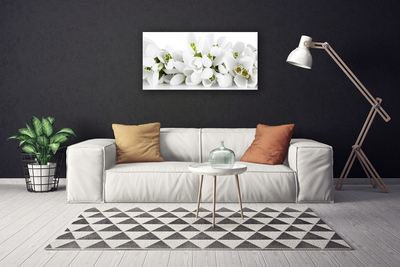 Quadro canvas Flores Planta Natureza