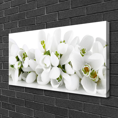 Quadro canvas Flores Planta Natureza