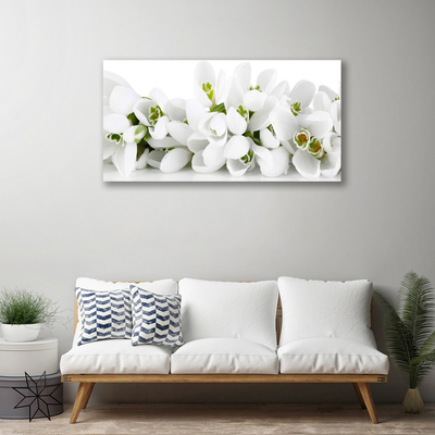Quadro canvas Flores Planta Natureza