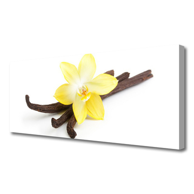 Quadro em tela Natureza da planta de baunilha