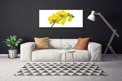 Quadro canvas Flores Planta Natureza