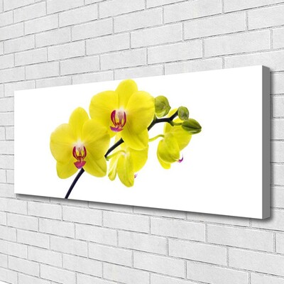 Quadro canvas Flores Planta Natureza