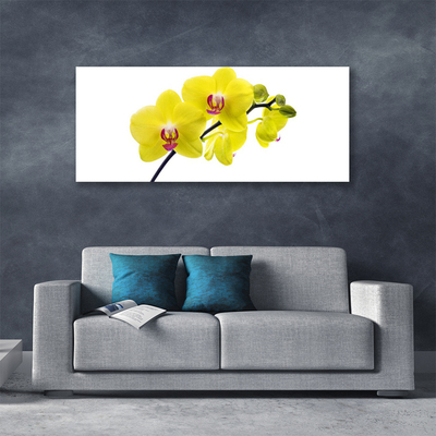 Quadro canvas Flores Planta Natureza