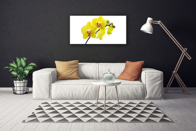 Quadro canvas Flores Planta Natureza