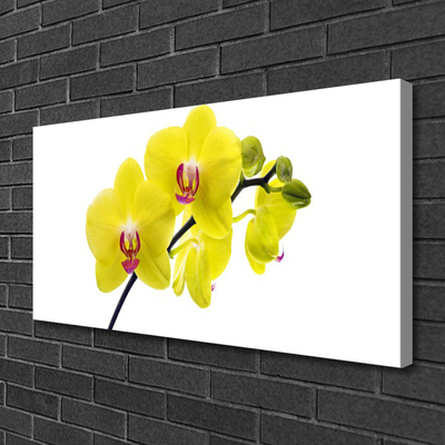 Quadro canvas Flores Planta Natureza