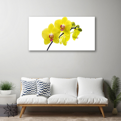 Quadro canvas Flores Planta Natureza