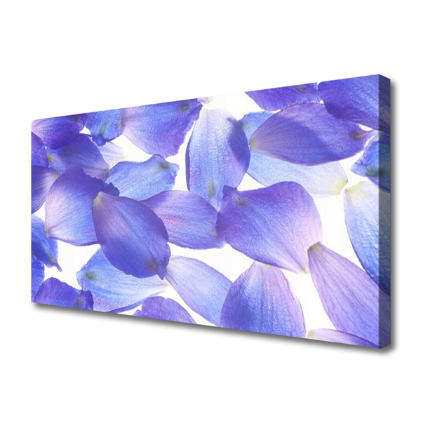 Quadro canvas Pétalas Planta Natureza