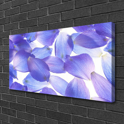 Quadro canvas Pétalas Planta Natureza