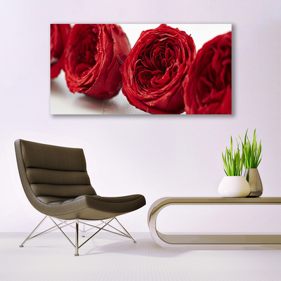 Quadro em tela Planta de flores rosas