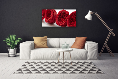 Quadro em tela Planta de flores rosas