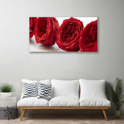 Quadro em tela Planta de flores rosas