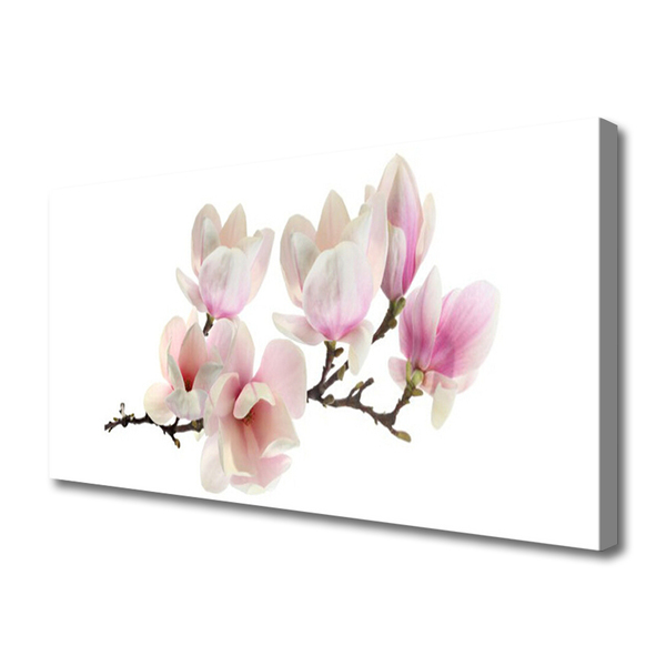 Quadro canvas Flores Planta Natureza
