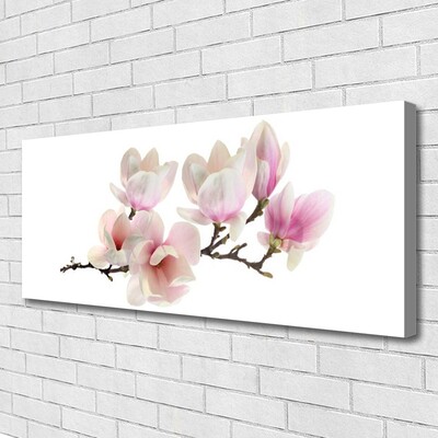 Quadro canvas Flores Planta Natureza