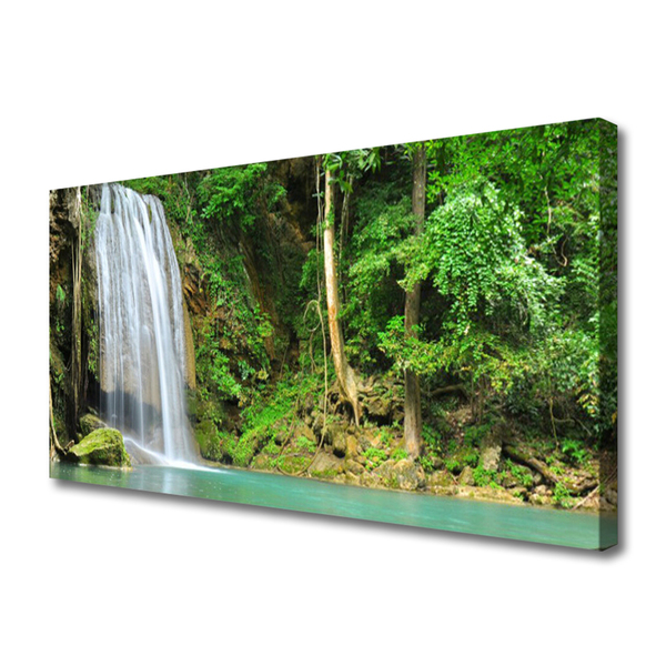 Quadro canvas Cachoeira Floresta Natureza
