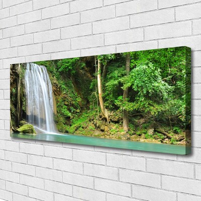 Quadro canvas Cachoeira Floresta Natureza