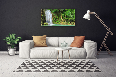 Quadro canvas Cachoeira Floresta Natureza