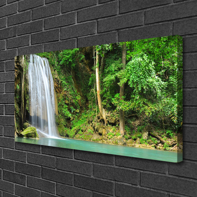 Quadro canvas Cachoeira Floresta Natureza