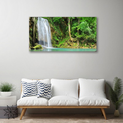 Quadro canvas Cachoeira Floresta Natureza