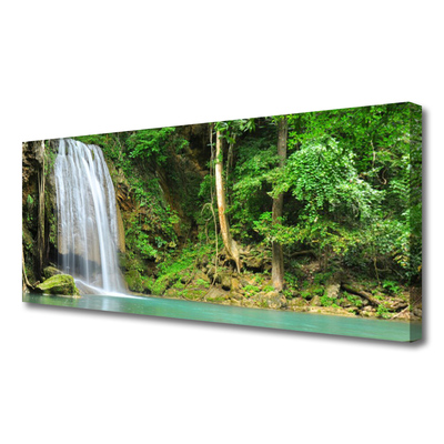 Quadro canvas Cachoeira Floresta Natureza