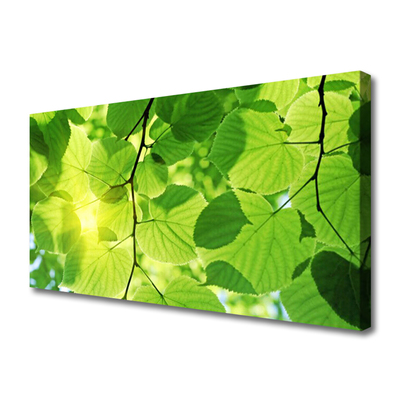 Quadro em tela Folhas Natureza Planta