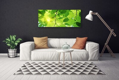 Quadro em tela Folhas Natureza Planta
