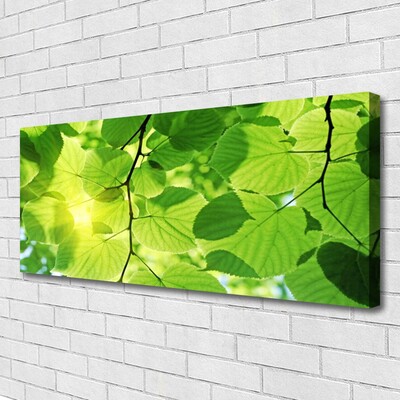 Quadro em tela Folhas Natureza Planta