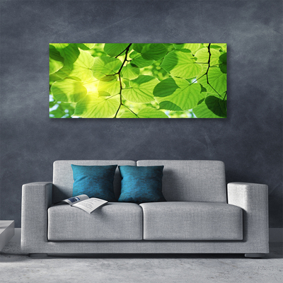 Quadro em tela Folhas Natureza Planta