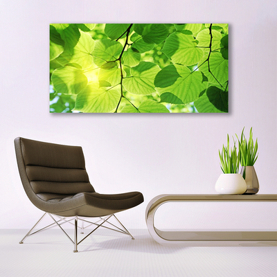 Quadro em tela Folhas Natureza Planta