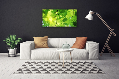Quadro em tela Folhas Natureza Planta