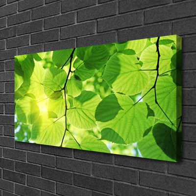 Quadro em tela Folhas Natureza Planta