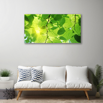 Quadro em tela Folhas Natureza Planta