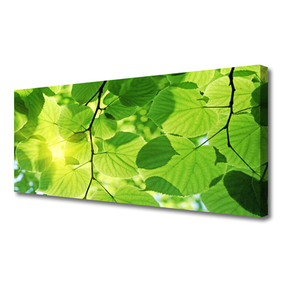 Quadro em tela Folhas Natureza Planta
