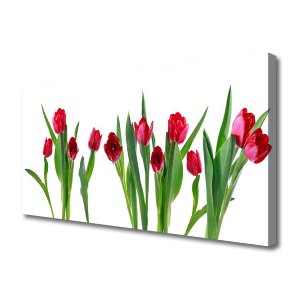 Quadro canvas Tulipas Flores Planta