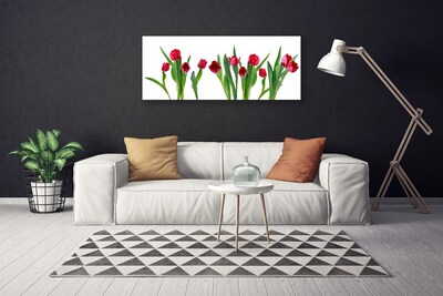 Quadro canvas Tulipas Flores Planta