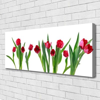 Quadro canvas Tulipas Flores Planta