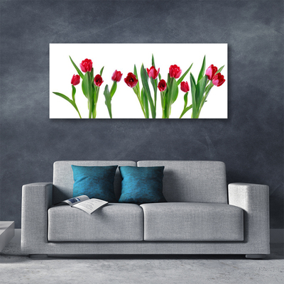 Quadro canvas Tulipas Flores Planta