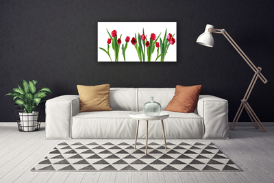Quadro canvas Tulipas Flores Planta