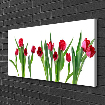 Quadro canvas Tulipas Flores Planta