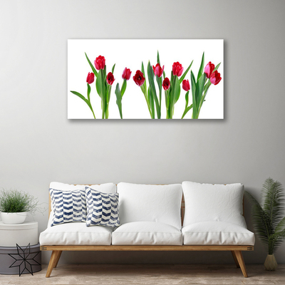 Quadro canvas Tulipas Flores Planta