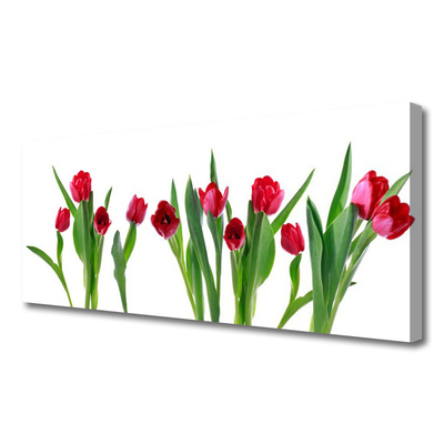Quadro canvas Tulipas Flores Planta